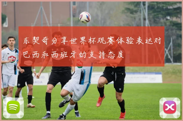 东契奇分享世界杯观赛体验表达对巴西和西班牙的支持态度